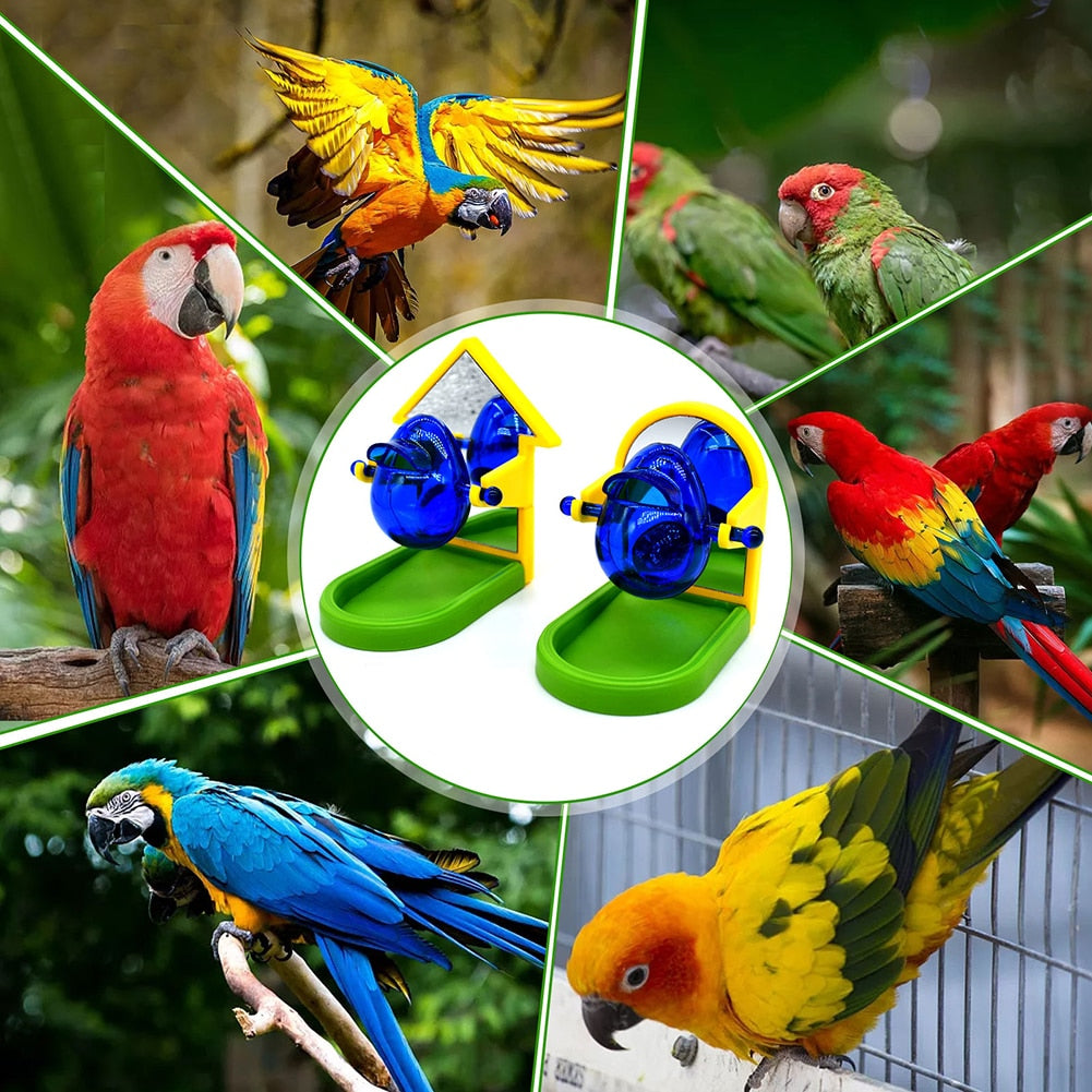 Parakeet Bird Toy Foraging Food Training