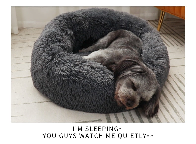 Super Soft Pet Bed