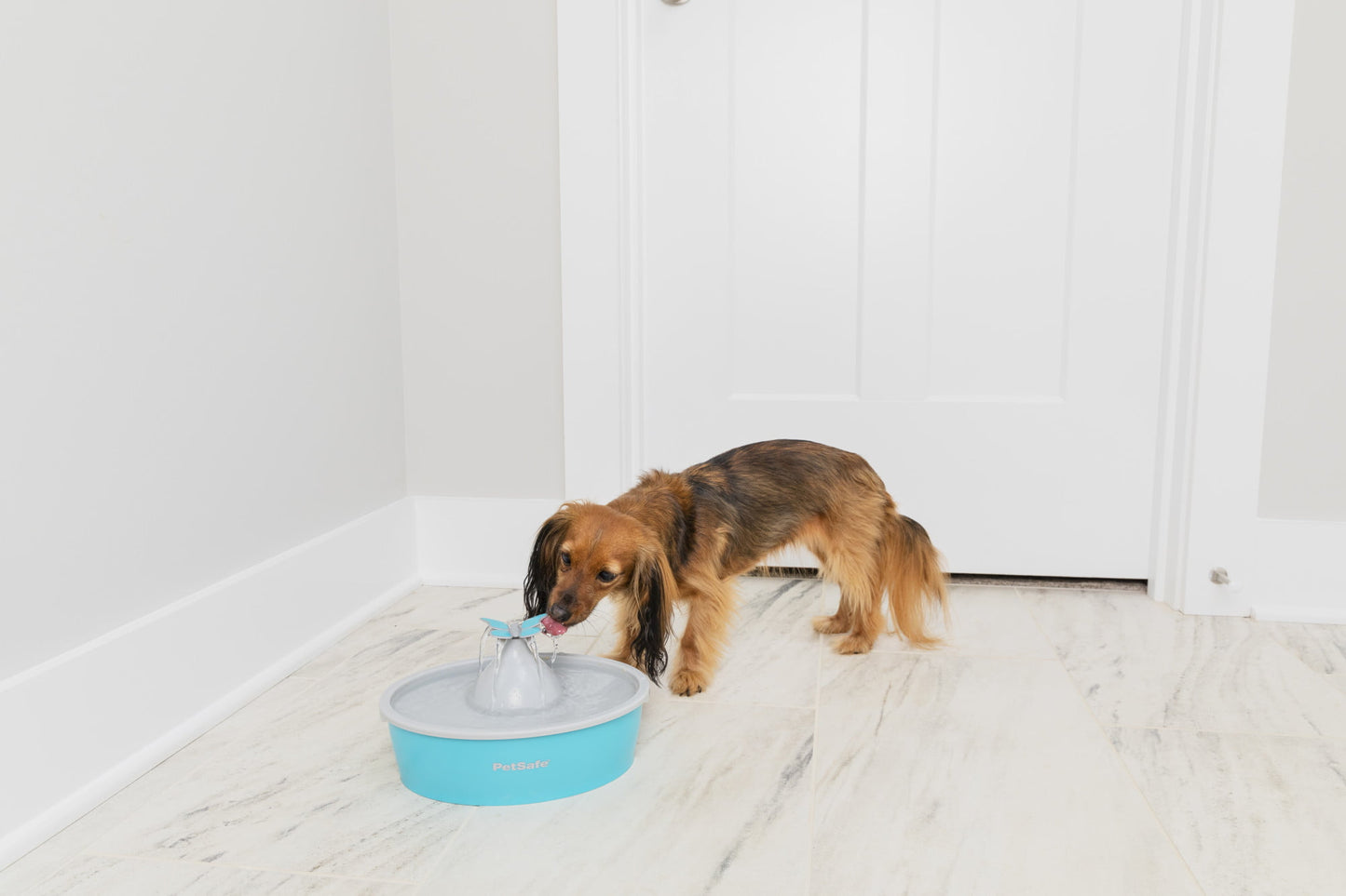 Automatic Dog and Cat Water Bowl