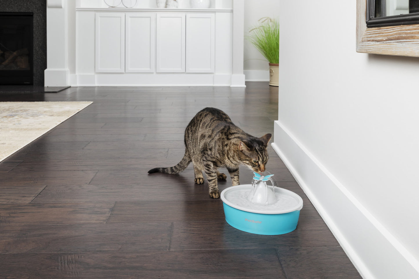 Automatic Dog and Cat Water Bowl