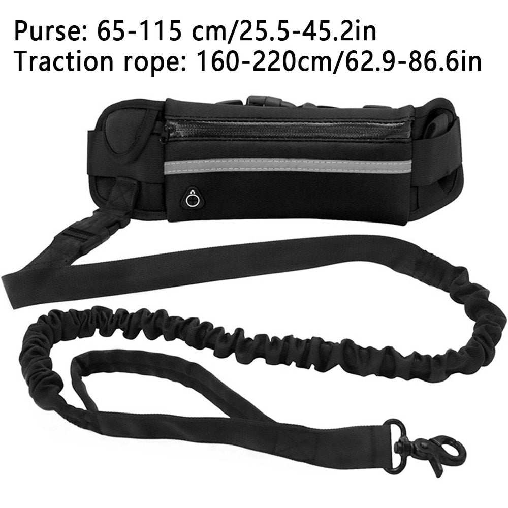 Hands Free Walking Reflective Leash with Waist Bag Retractable Elastic Belt