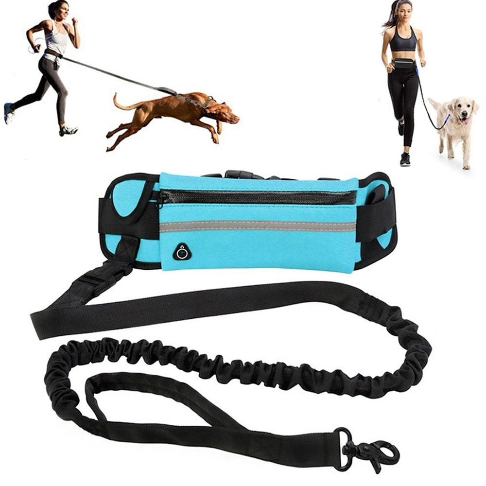 Hands Free Walking Reflective Leash with Waist Bag Retractable Elastic Belt